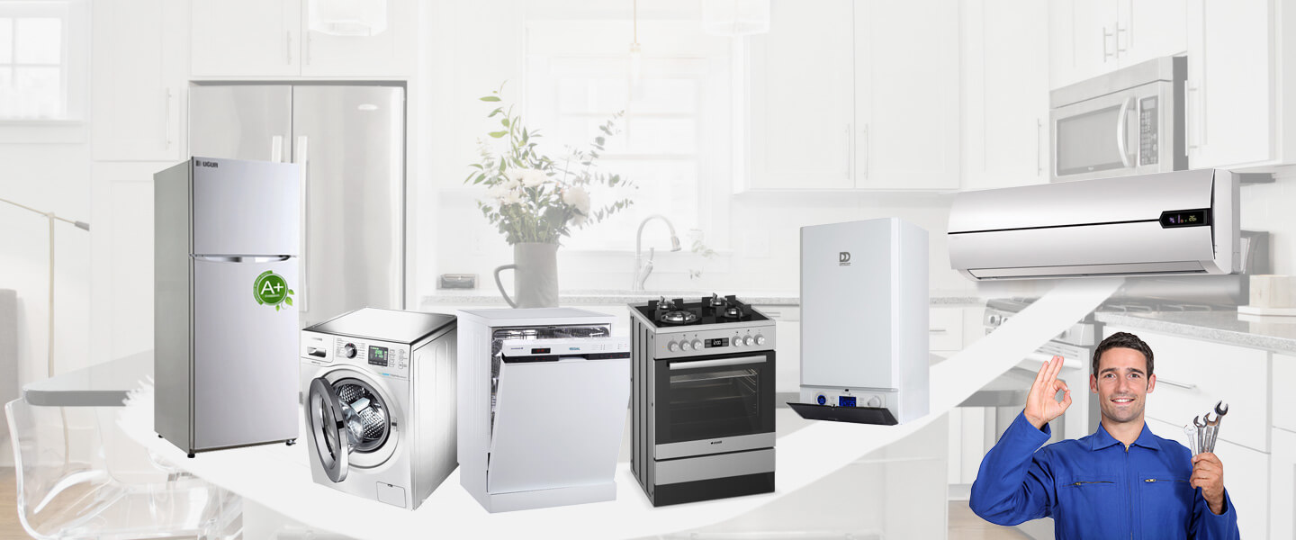 Söke Electrolux Servisi